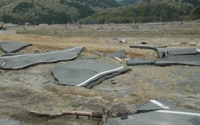 esse japan relief work