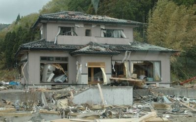 esse japan relief work