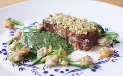 Surf and Turf Video Image