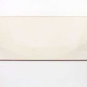 Single Glass Panel