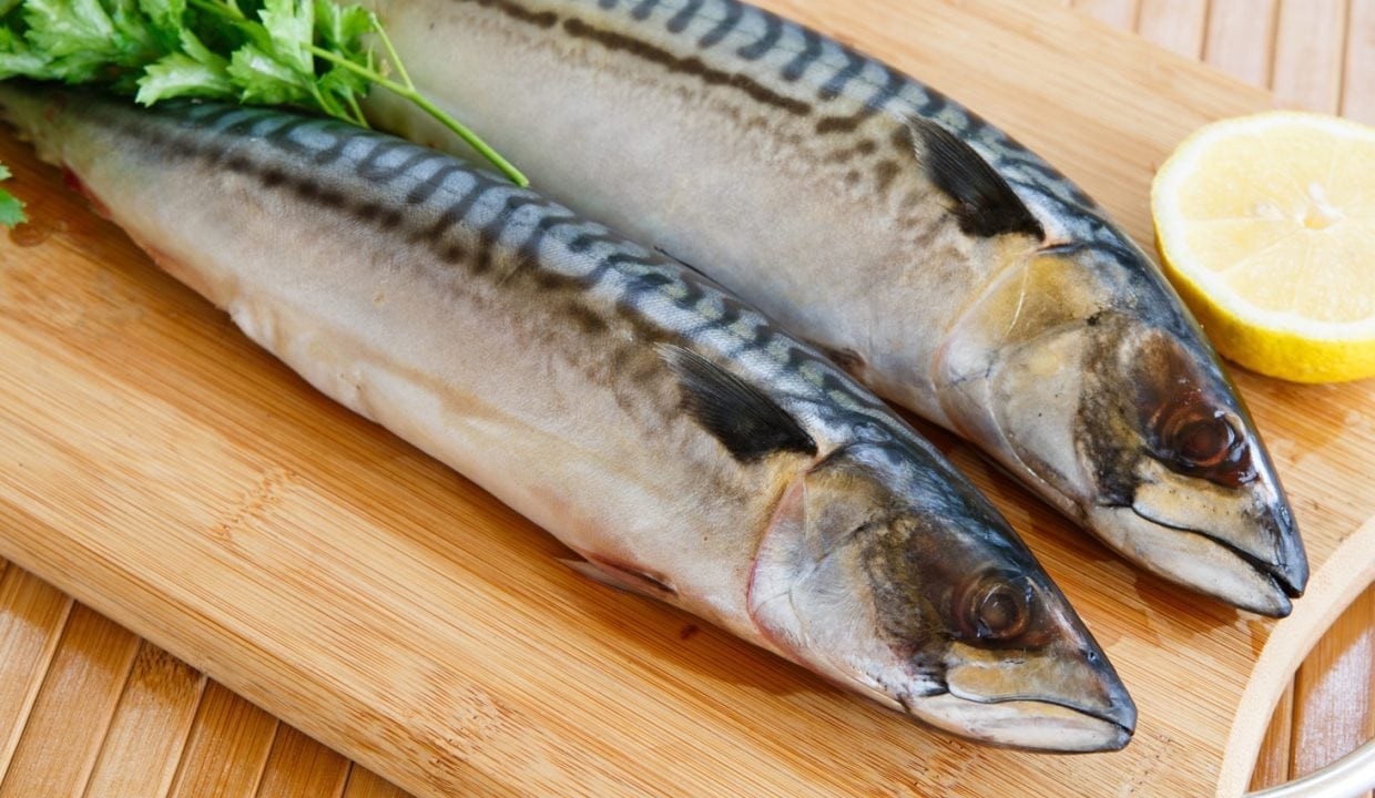 Cooking mackerel stuffed with salsa verde recipe - ESSE