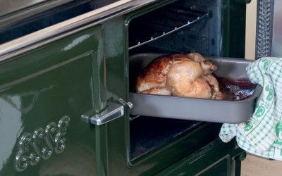 ESSE 990 Hybrid chicken in oven