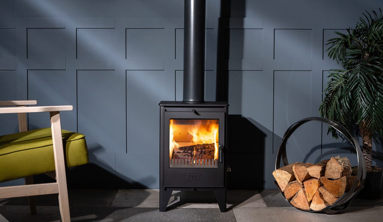 ESSE 550 ecodesign woodburning stove