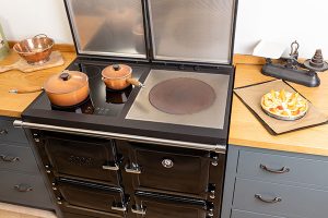 1000 X induction hob and hotplate