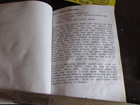 Dragon stove side angled