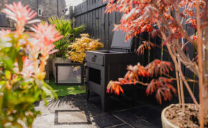 ESSE GardenStove 10