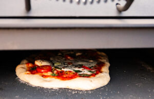 ESSE GardenStove 123