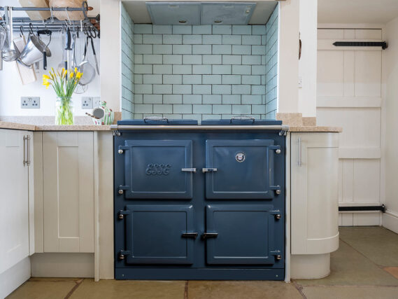 ESSE 1000 X Pro blue in kitchen