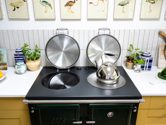 ESSE 1000 T PRO Green yellow kitchen hotplate