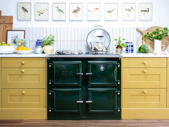ESSE 1000 T PRO Green yellow kitchen lid open
